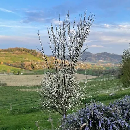 Bed and breakfast La Cantinetta
